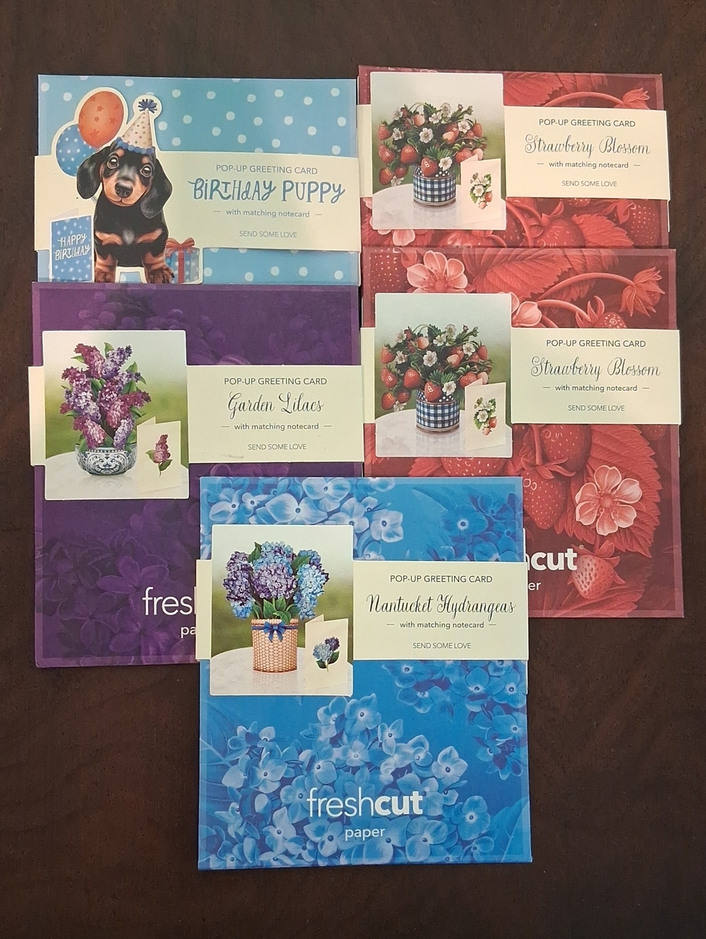 NEW! 5 Pop-Up Greeting Card Set -  1009